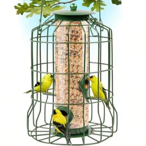 Squirrel Proof Bird Feeders