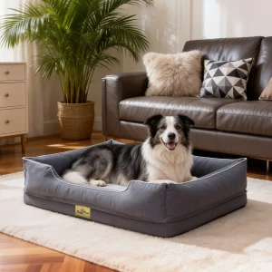 M-3XL Rectangular Orthopedic Dog Beds