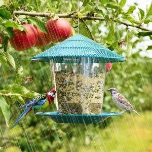 Wild Bird Feeder